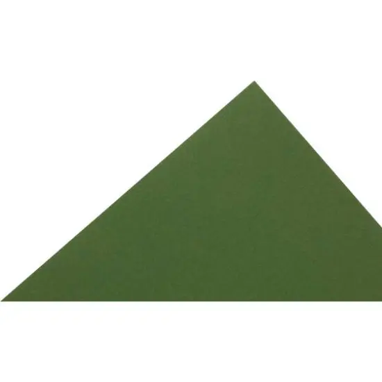 PA Paper&trade; Accents 12" x 12" 65lb. Cardstock, 25 Sheets Parrot {4}