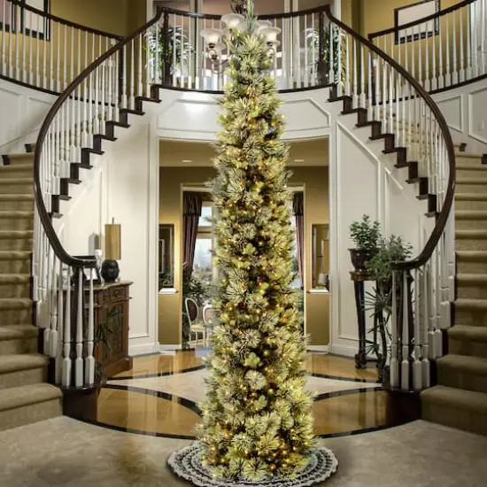 12ft. Pre-Lit Carolina Pine Artificial Christmas Tree, Clear Lights {3}