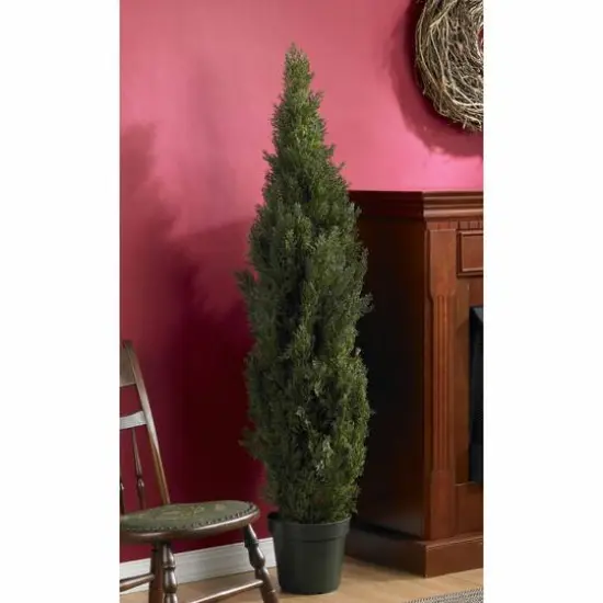 5ft. Cedar Pine Tree {6}