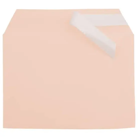 JAM Paper 5.063" x 7.188" Cello Sleeves with Self Adhesive Closures, 100ct. Peach {4}