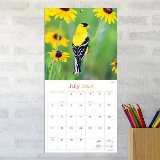 TF Publishing 2024 Backyard Birds Mini Calendar {5}