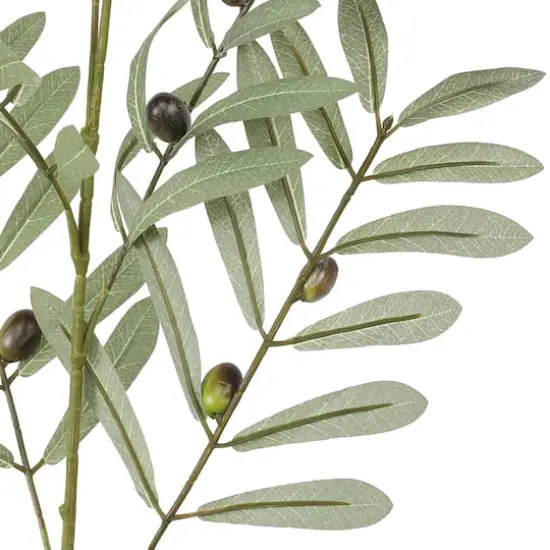 36" Olive Berry Branch by Ashland&reg; {3}
