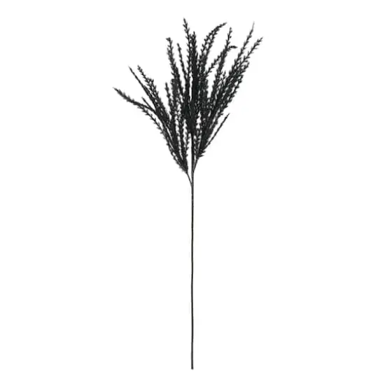 31" Black Pampas Grass Stem by Ashland&reg; {1}