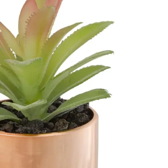 5" Green Aloe Plant in Rose Gold Pot {5}