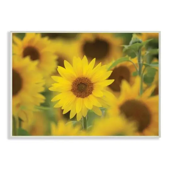 Stupell Industries Yellow Sunflower Nursery Field Wall Art {1}