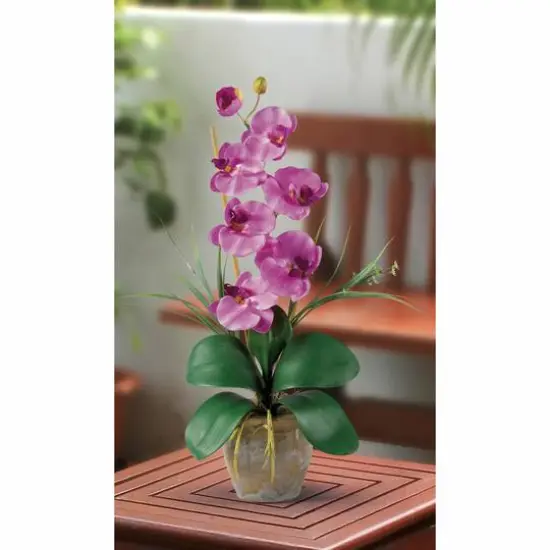 21" Moth Orchid Flower Arrangement in Ceramic Pot Mauve {4}