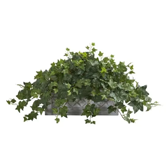 20" Puff Ivy Plant in Stone Planter {1}