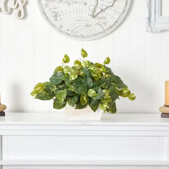14" Pothos with White Wash Planter {4}
