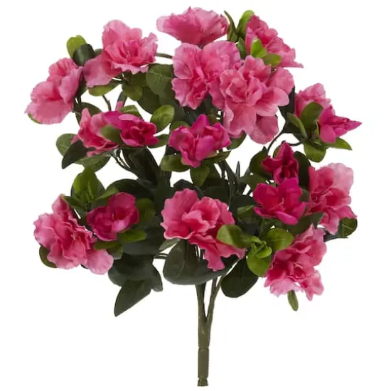 Pink Azalea Bush, 4ct. {1}