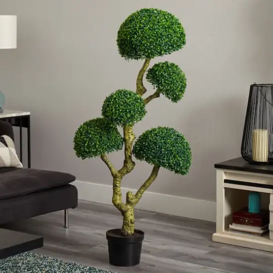 5ft. Potted Boxwood Tree {5}