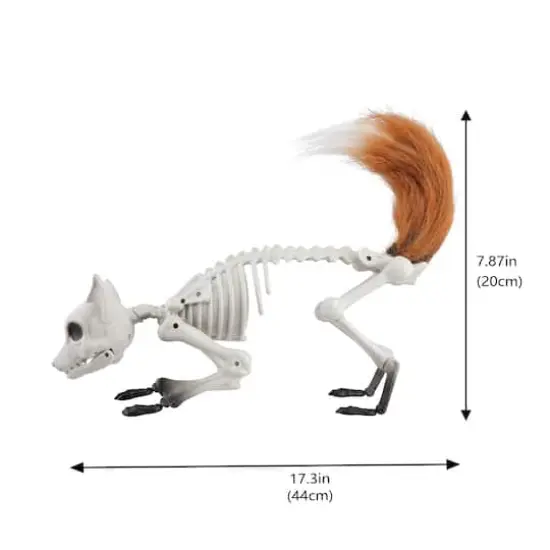 17.75" Fox Skeleton Décor by Ashland® {5}