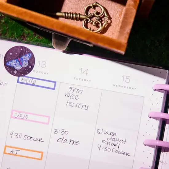 The Classic Happy Planner&reg; Butterfly Botanics {16}