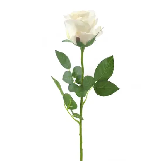 DII&reg; Cream Flower Closed Rose Set, 4ct. {3}