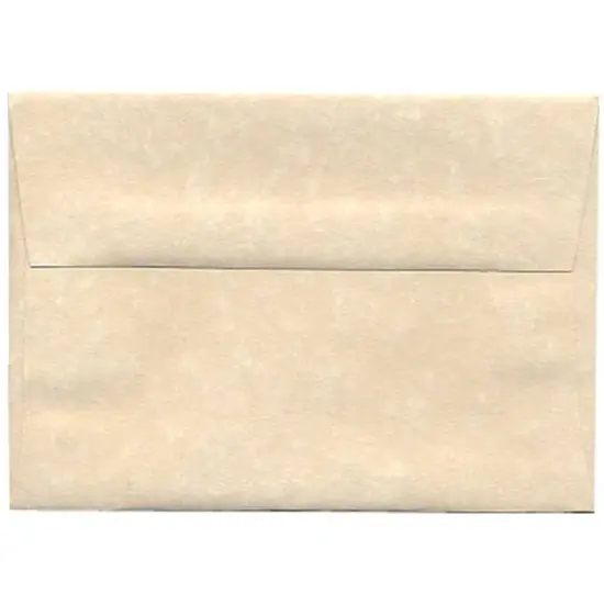 JAM Paper 3.62" x 5.12" Blank Greeting Cards Set with Parchment Envelopes, 25ct. Natural {4}