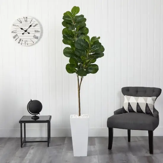 6ft. Fiddle Leaf Fig Tree in Tall White Planter {4}