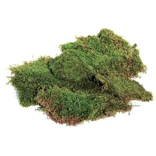 SuperMoss&reg; Green Preserved Sheet Moss {3}