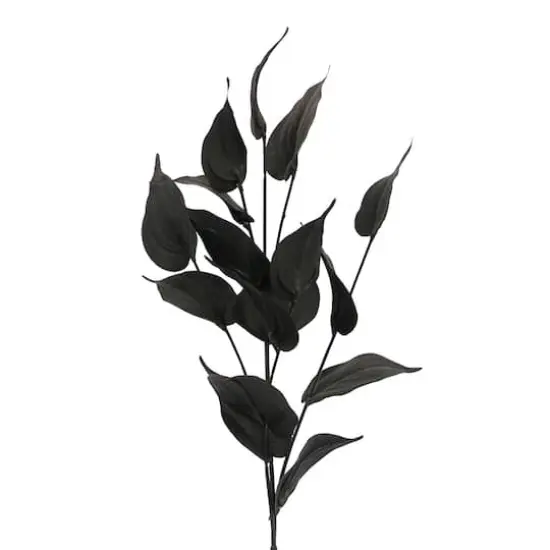 Black Philodendron Leaves Stem by Ashland&reg; {3}