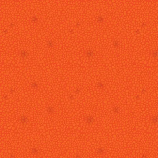 Cricut&reg; Disney&reg; Finding Dory Deluxe Paper, 12" x 12" {11}