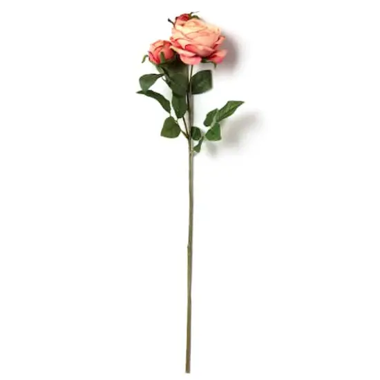 Coral English Rose Stem by Ashland&reg; {5}