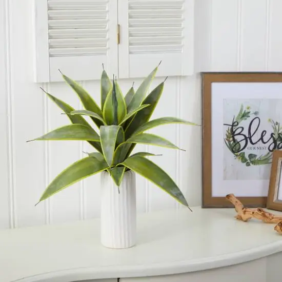 16" Snake Plant in White Planter {4}