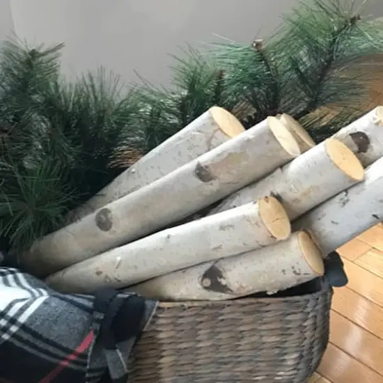 Wilson&reg; Enterprises 6"-8" Large White Birch Fireplace Set, 3ct. {3}