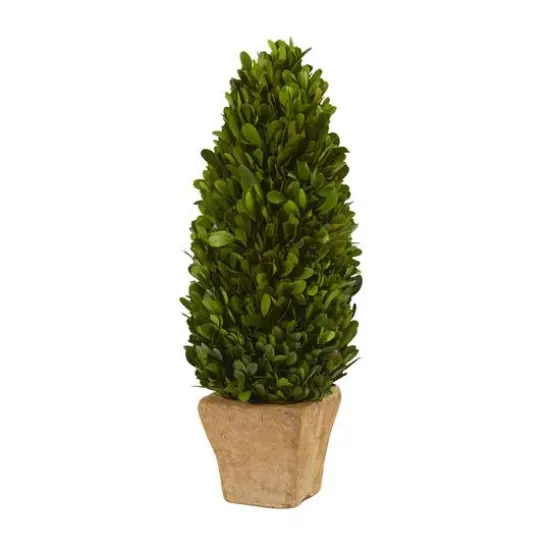 16in. Boxwood Cone in Tan Planter {1}