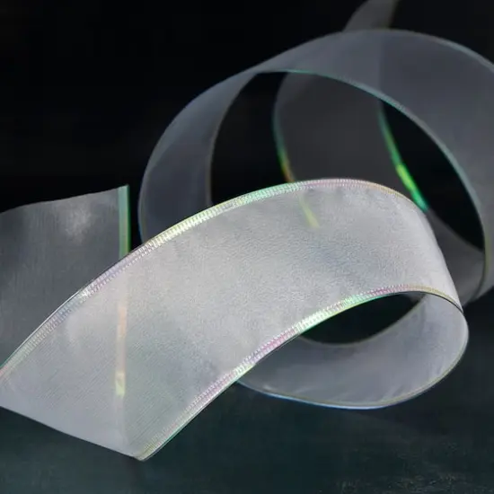 2.5" x 10yd. Sheer Wired Ribbon by Celebrate It&reg; Specialty {3}