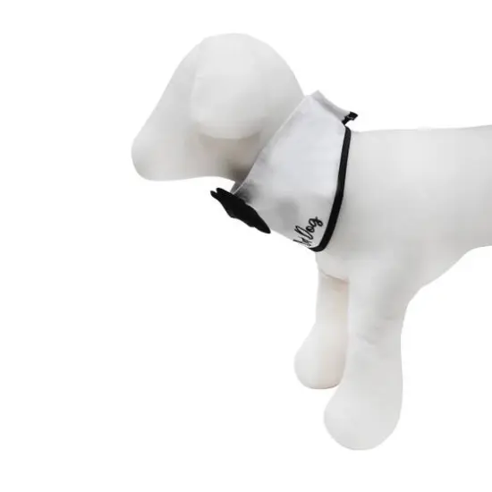 Best Furry Friends Bowtie Dog Collar Classic {4}