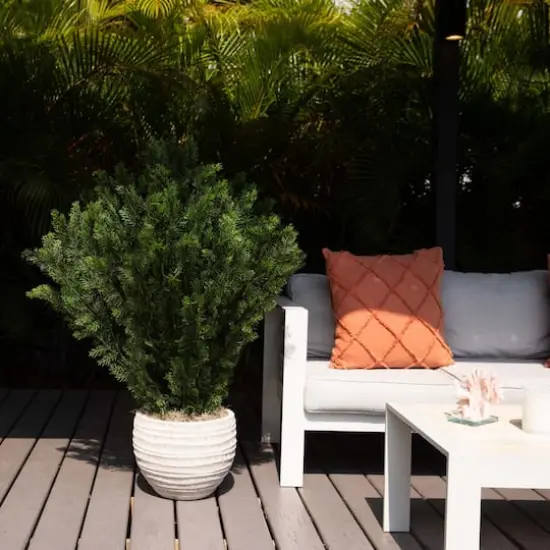 4ft. UV-Resistant Potted Cedar Bush {3}