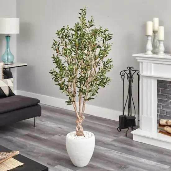 5ft. Olive Tree in White Oval Planter {3}