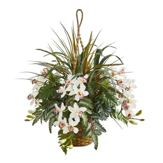 2.5ft. Orchid & Greens in Hanging Basket {1}