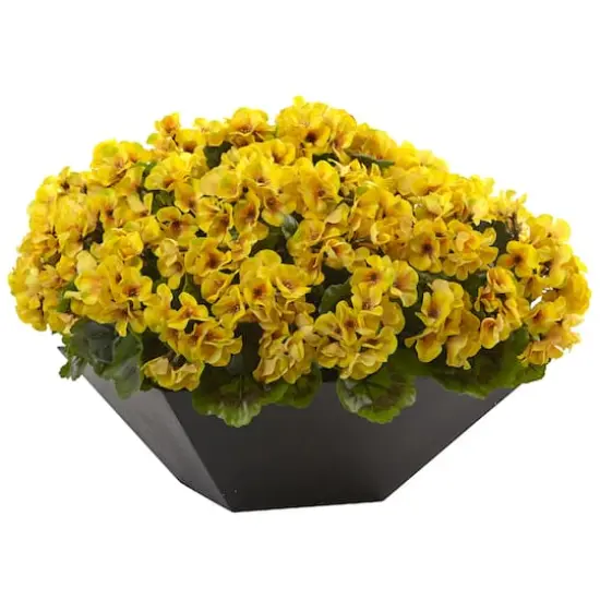 15" UV Resistant Yellow Geranium Arrangement in Black Planter {1}