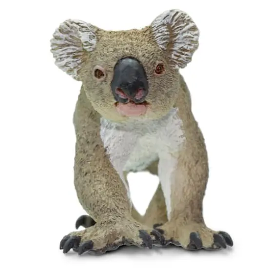 Safari Ltd&reg; Koala Toy {5}