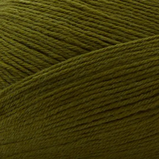 Luxe Merino&trade; Solid Yarn by Loops & Threads&reg; Avacado {3}