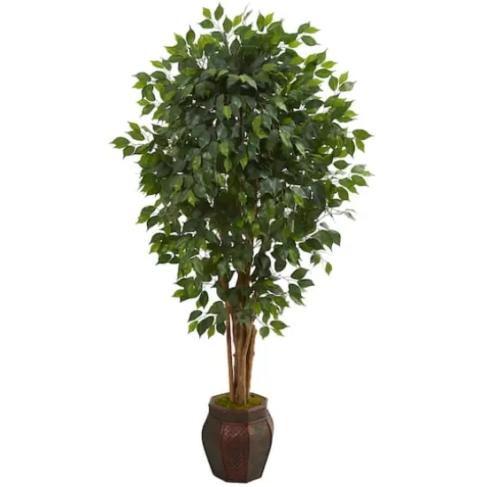 6ft. Ficus Tree with Decorative Planter {1}