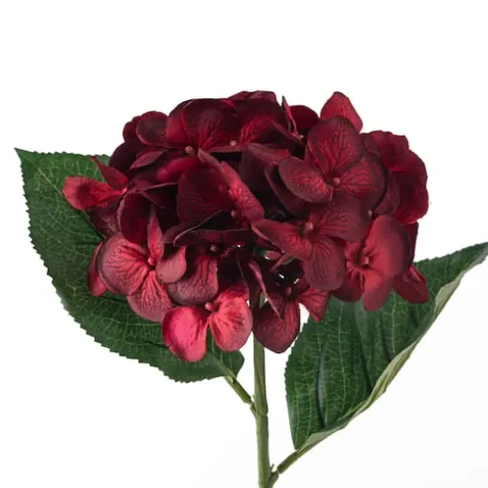 25" Hydrangea Stem by Ashland&reg; Burgundy {4}