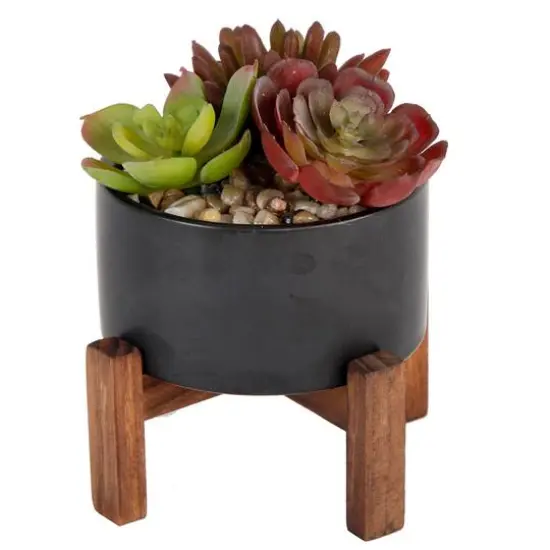 Flora Bunda&reg; 8" Succulent Mix in Pot with Stand {1}