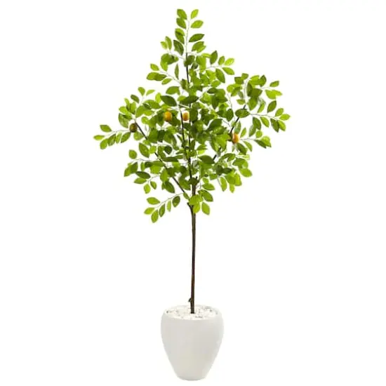 5.5ft. Lemon Tree in White Planter {1}
