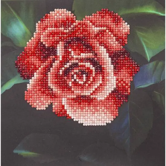 Diamond Art Beginner Red Rose Kit {1}