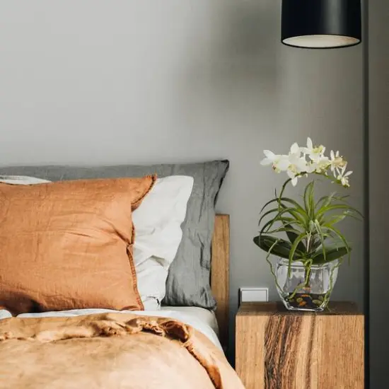 13" White Orchid & Succulent Mixed Arrangement with Glass Vase {3}