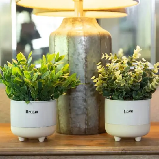 Flora Bunda&reg; 4.75" Eucalyptus In Tea Leaf In Dream Ceramic & Love TextFooted Set {4}