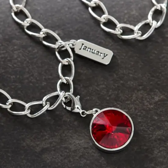 Austrian Crystal Birth Month Charm Set by Bead Landing&trade; Garnet Red/January {3}