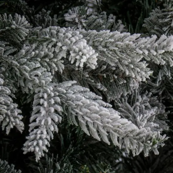 7.5ft. Unlit Frosted Holliston Artificial Christmas Tree {4}