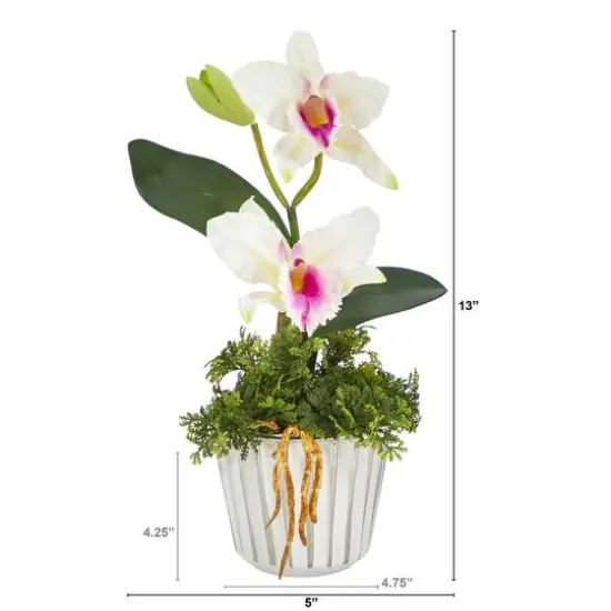 13" Mini Orchid Cattleya in White & Silver Vase {3}