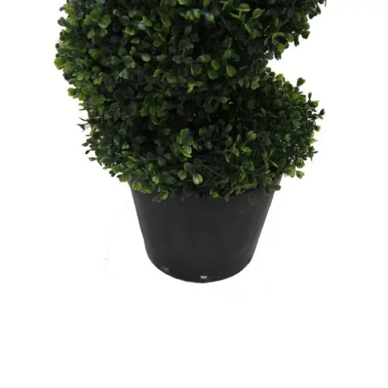 5ft. Potted Green Boxwood Spiral Tree {6}