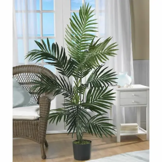 4ft. Potted Palm Tree {4}