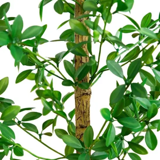 4ft. Artificial Shady Lady Black Olive Tree {5}