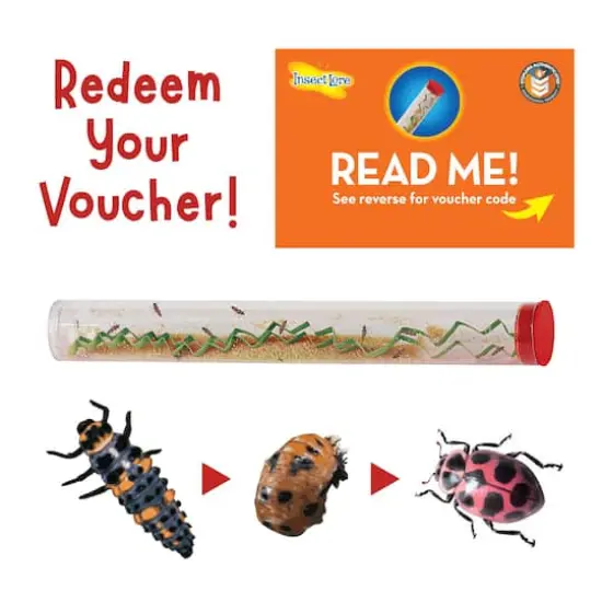 Ladybug Land&trade; {4}