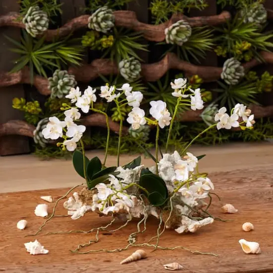 14" Mini Moth Orchid Set on Coral {3}