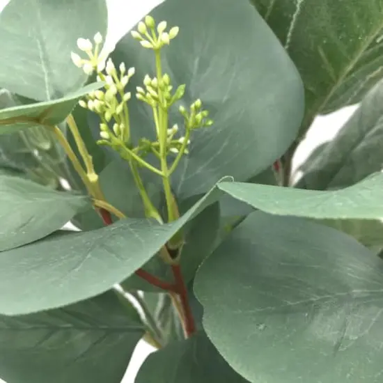 Silver Dollar & Lamb's Ear Bush by Ashland&reg; {4}